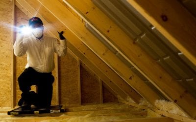 In a Less Competitive Market, Should Sellers Conduct a Home Inspection?